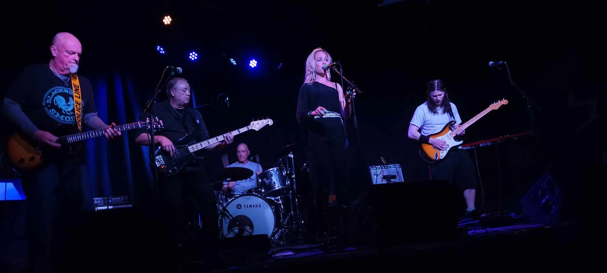 River Cats Royal Jam performance at Blu Martini venue with intimate setting and engaged audience